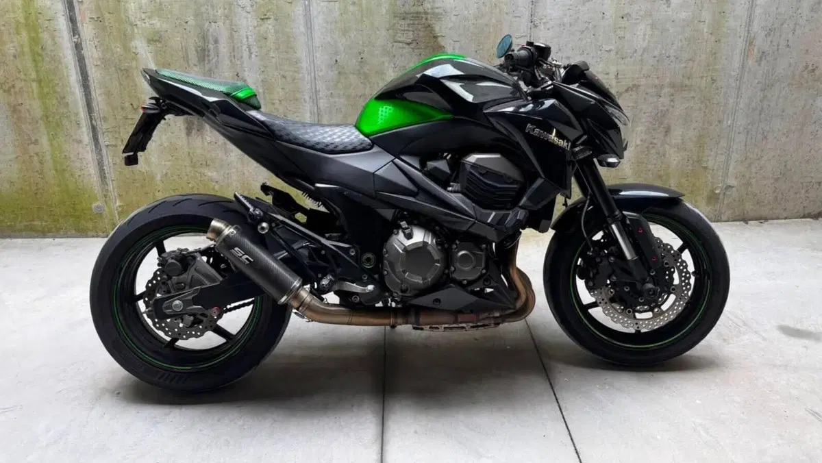 Kawasaki Z 800 (2012 - 13)  (2)