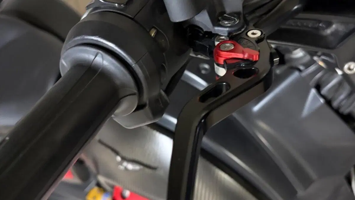 Moto Guzzi MGX 21 1400 (2016 - 20)  (4)