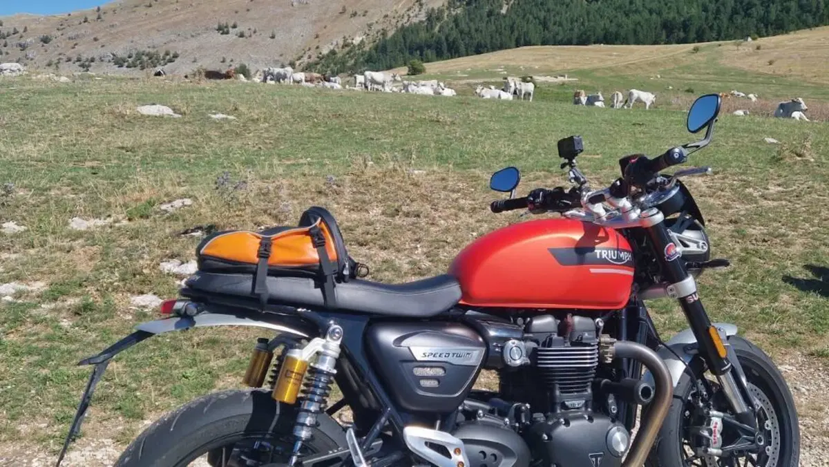 Triumph Speed Twin 1200 (2021 - 24) 