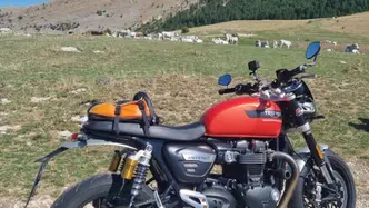 Triumph Speed Twin 1200 (2021 - 24) usata