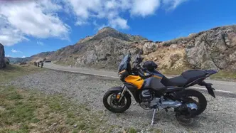 Moto Guzzi Stelvio (2024 - 26) usata
