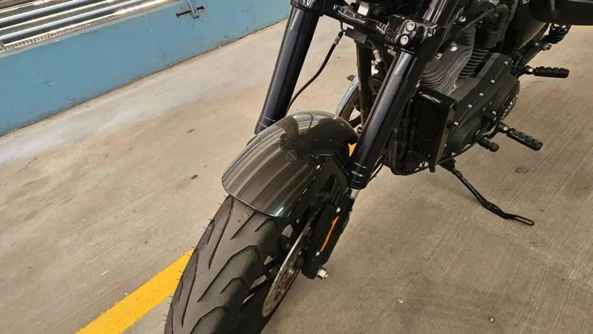 Harley-Davidson 1200 Roadster (2017 - 20) - XL 1200R  (3)