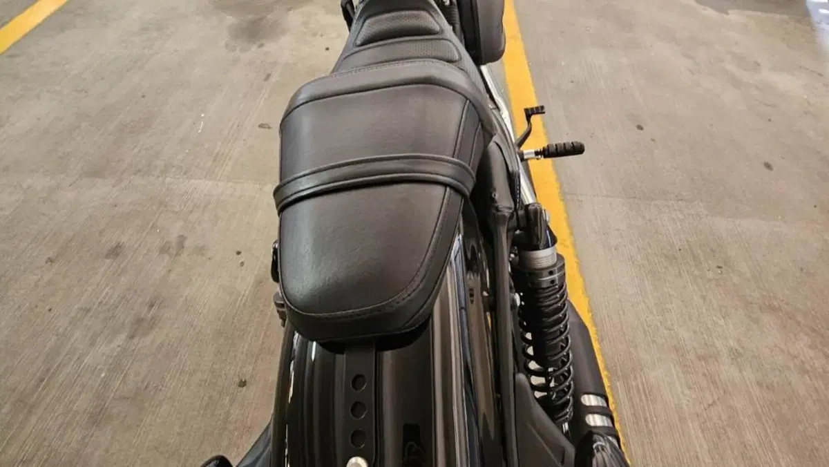 Harley-Davidson 1200 Roadster (2017 - 20) - XL 1200R  (4)