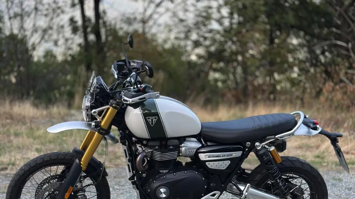 Triumph Scrambler 1200 XE (2019 - 20)  (2)