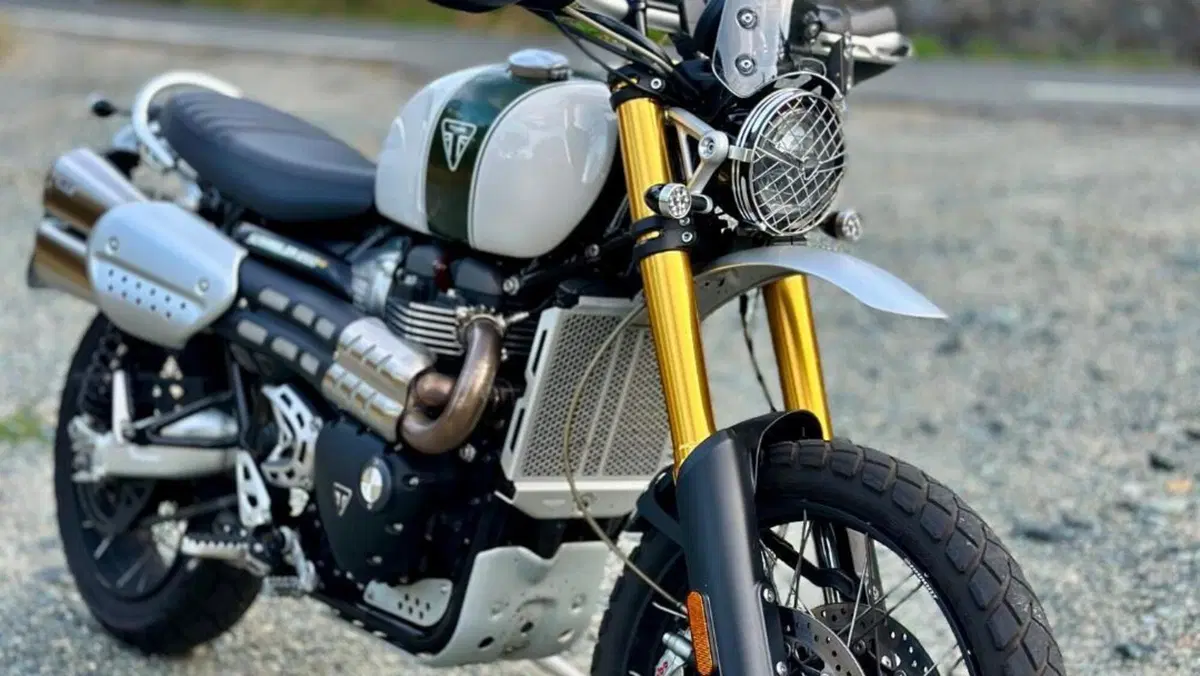 Triumph Scrambler 1200 XE (2019 - 20)  (4)