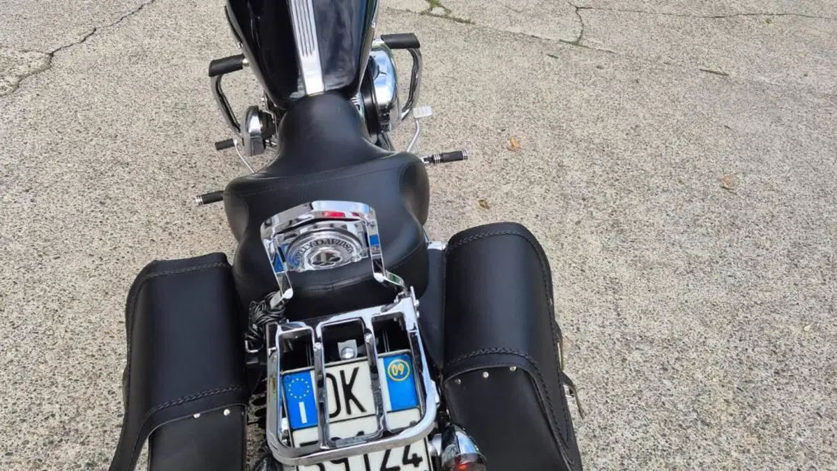 Harley-Davidson 1200 Custom (2007 - 13) - XL 1200C  (6)