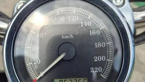 Harley-Davidson 1200 Custom (2007 - 13) - XL 1200C  (7)