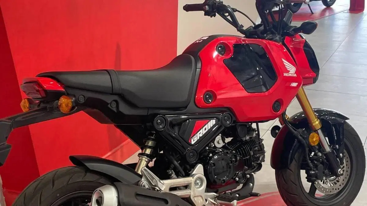 Honda MSX 125 Grom (2021 - 26)  (4)