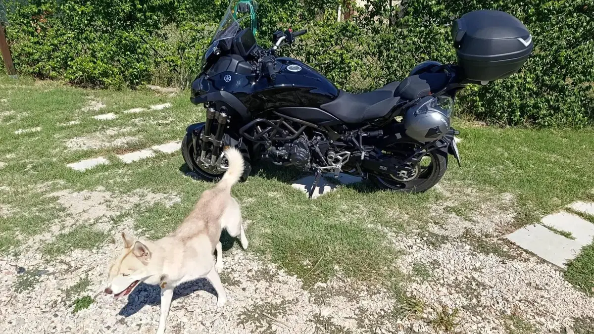 Yamaha Niken 890 GT (2023 - 26)  (2)