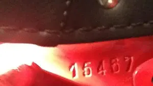 Moto Guzzi   (5)
