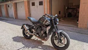 Triumph Trident 660 (2021 - 24)  (2)