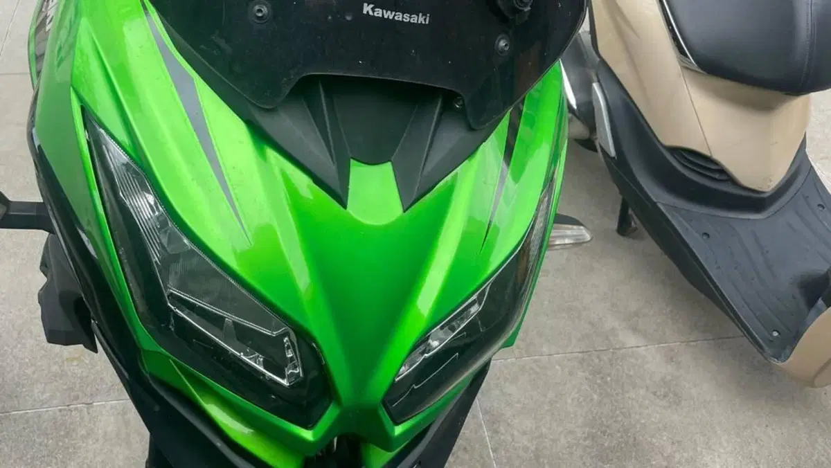 Kawasaki Versys 650 (2017 - 20)  (4)