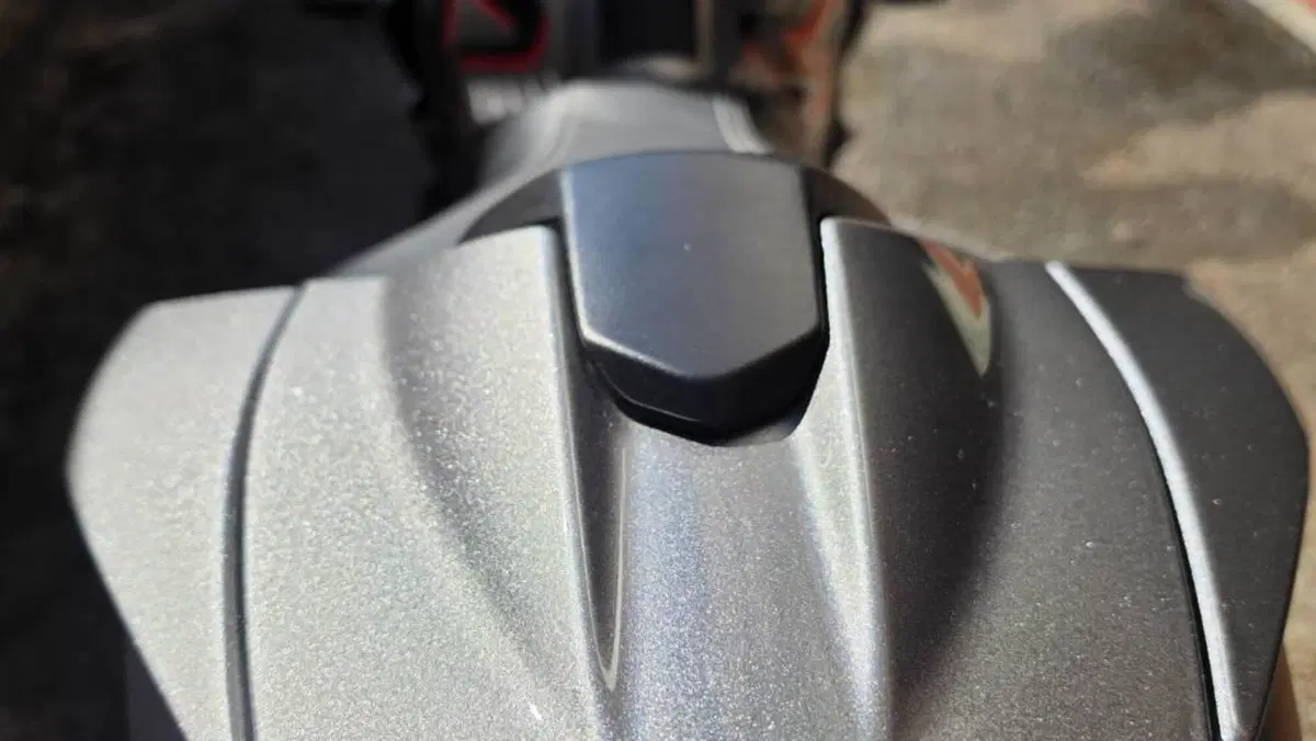 Triumph Street Triple RS (2020 - 22)  (7)