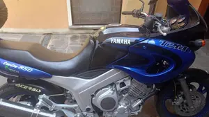 Yamaha TDM 850 (1996 - 01)  (5)