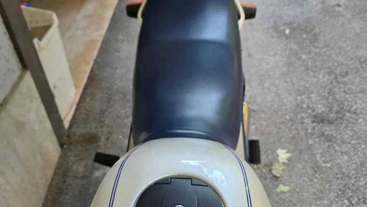Bmw   (8)