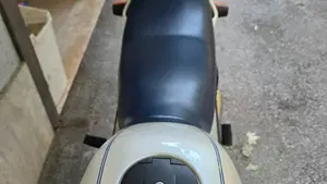 Bmw   (8)