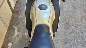 Bmw   (20)