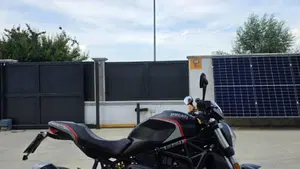 Ducati Monster 821 Stealth (2019 - 20) 