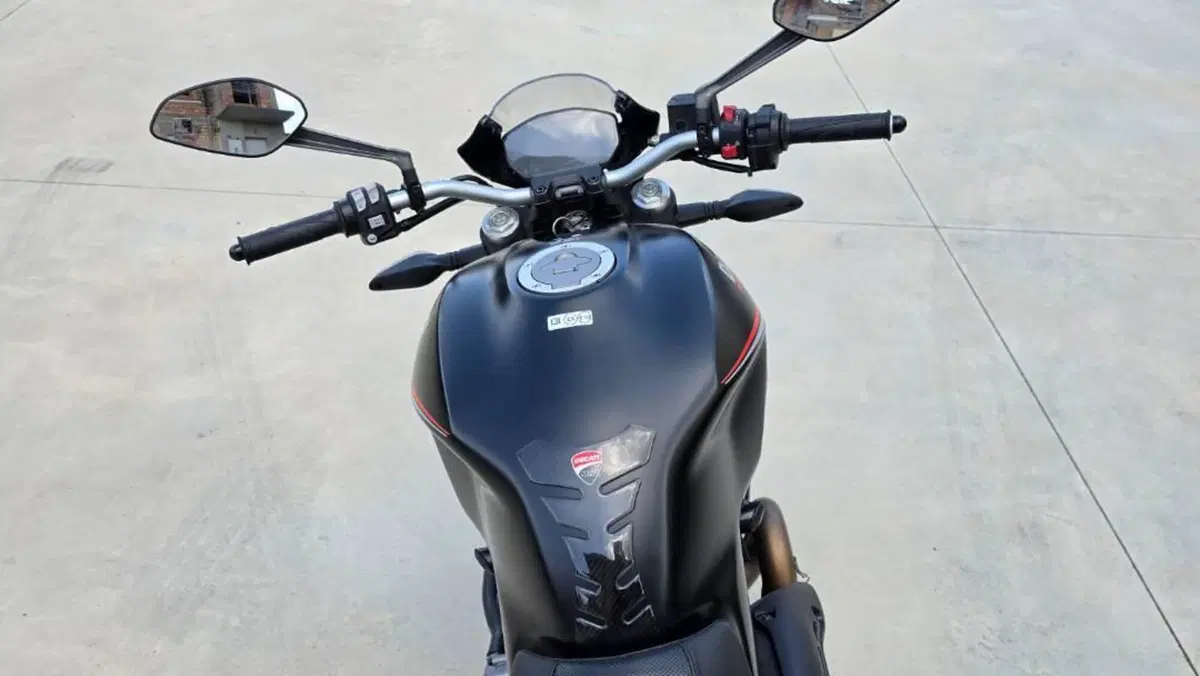 Ducati Monster 821 Stealth (2019 - 20)  (3)