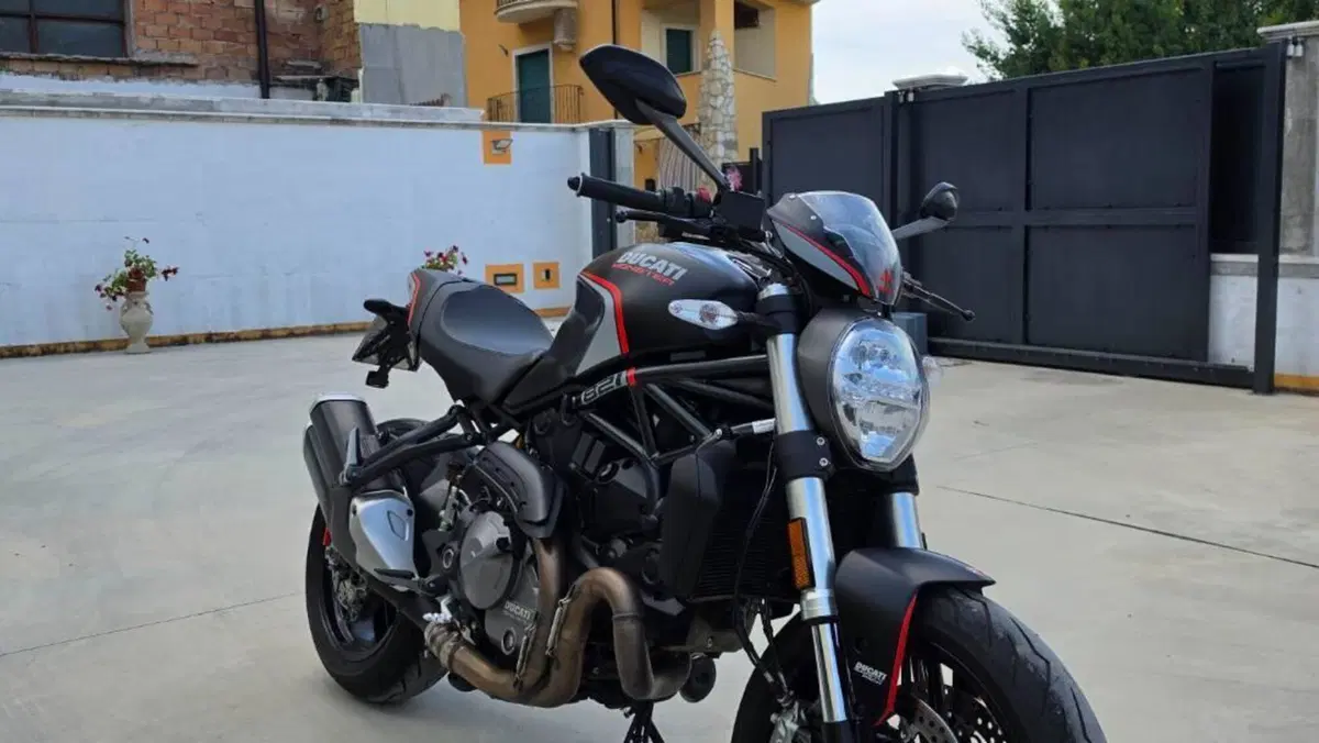 Ducati Monster 821 Stealth (2019 - 20)  (4)