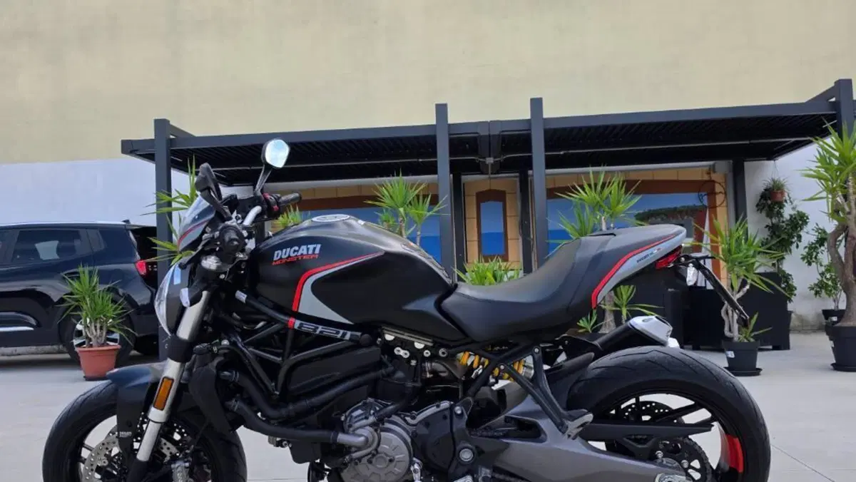 Ducati Monster 821 Stealth (2019 - 20)  (6)