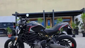 Ducati Monster 821 Stealth (2019 - 20)  (6)