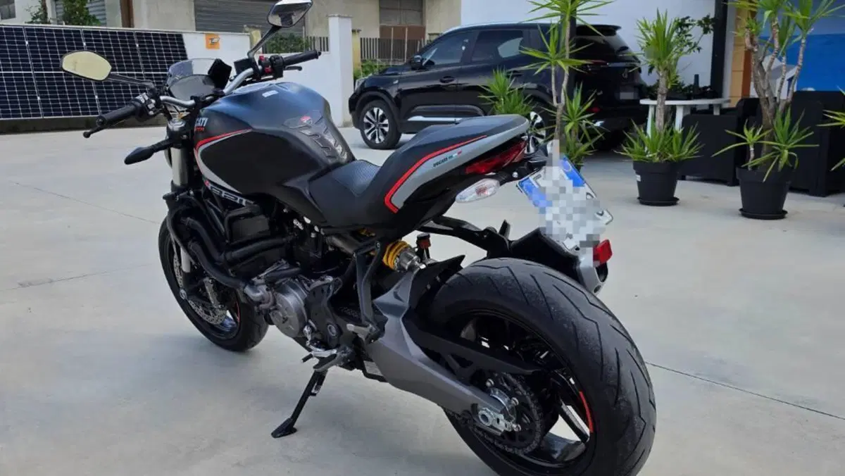 Ducati Monster 821 Stealth (2019 - 20)  (7)