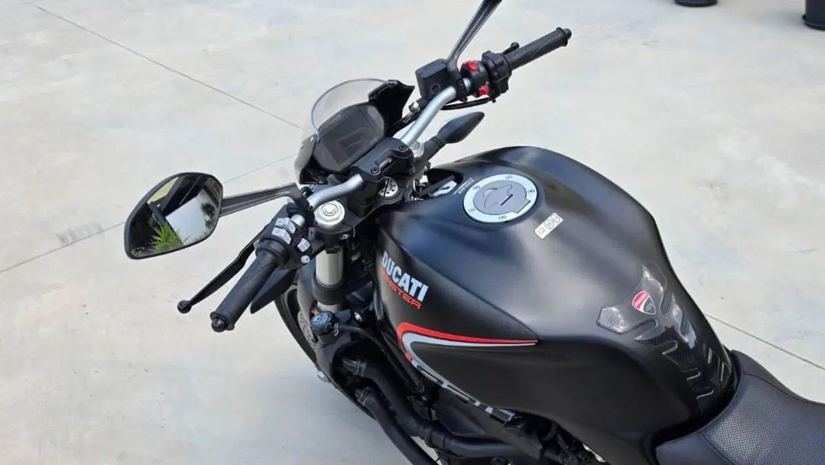 Ducati Monster 821 Stealth (2019 - 20)  (9)