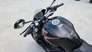 Ducati Monster 821 Stealth (2019 - 20)  (9)