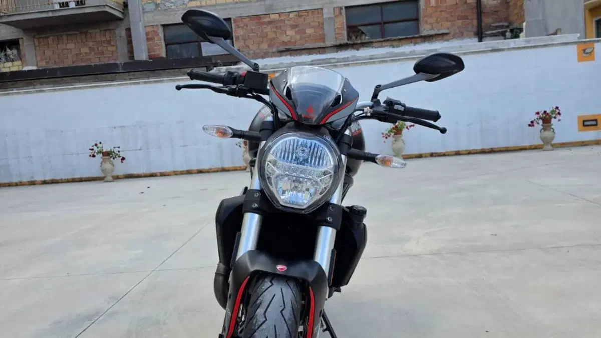 Ducati Monster 821 Stealth (2019 - 20)  (10)
