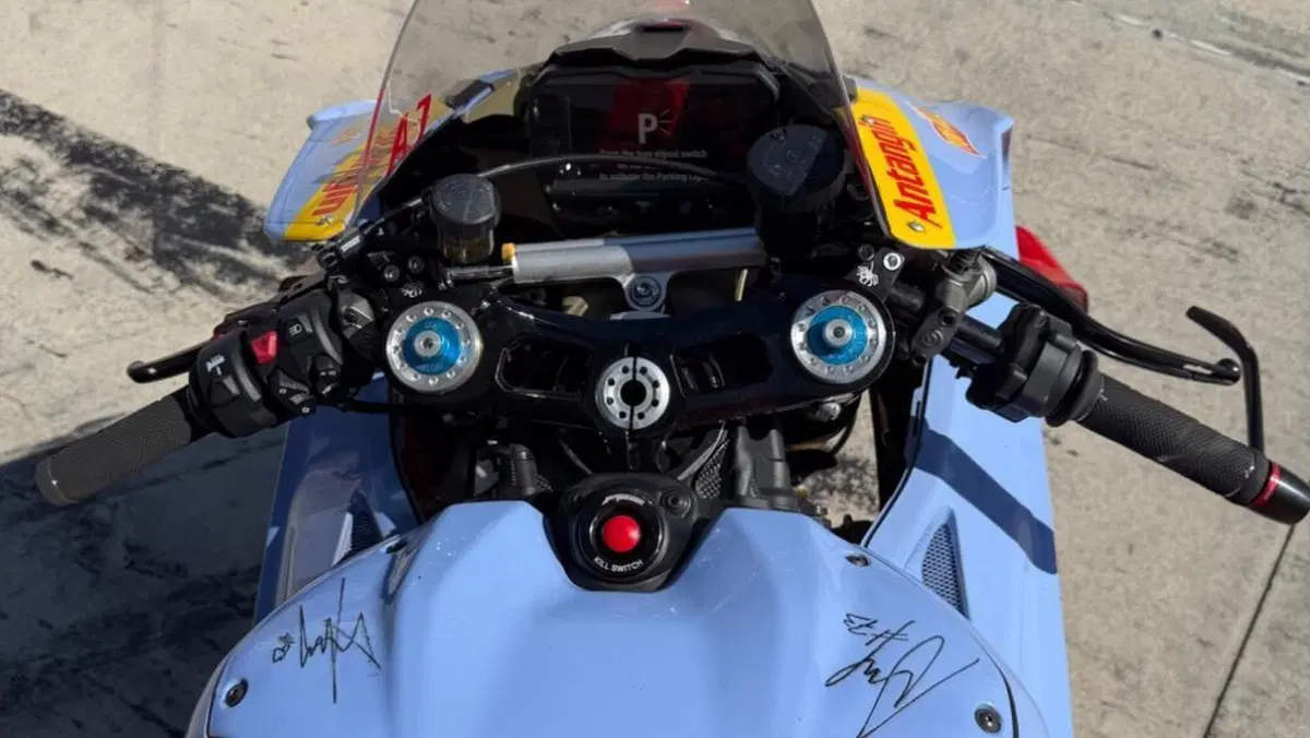 Ducati Panigale V4 (2022 - 24)  (15)
