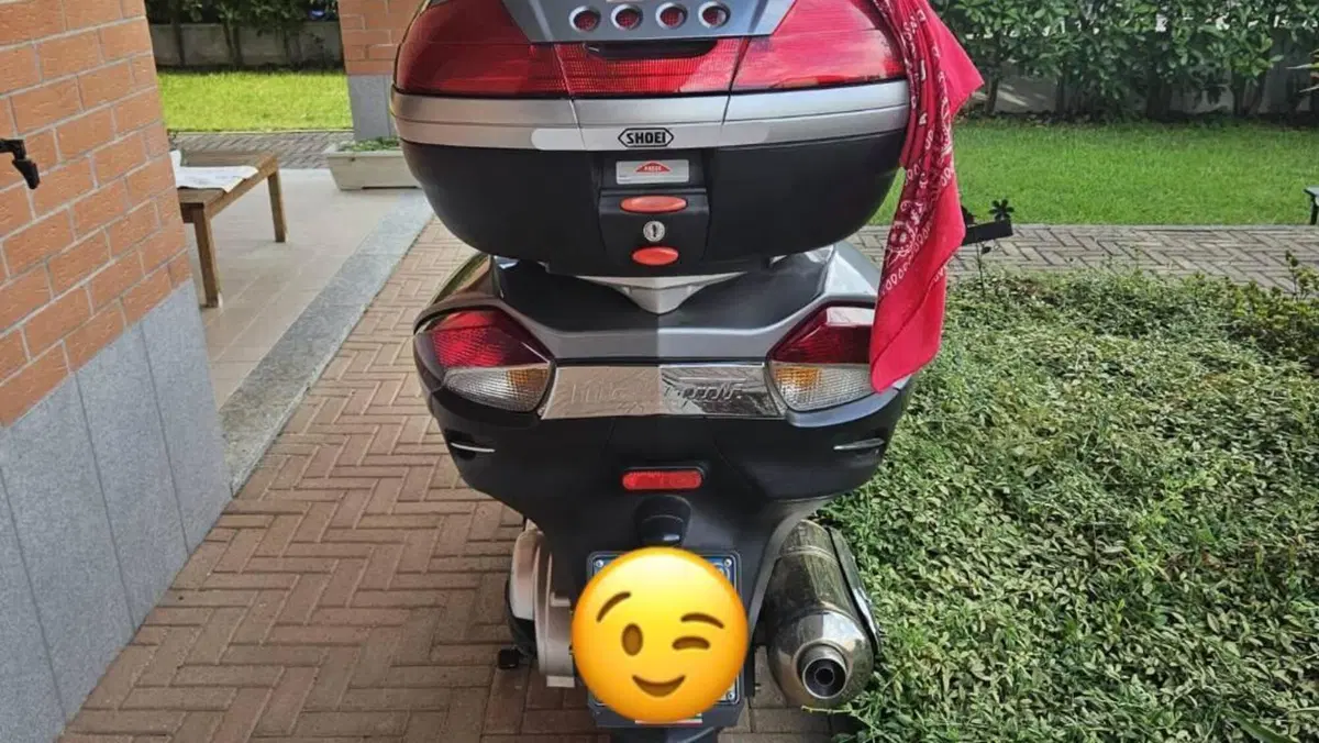 Malaguti SpiderMax 500 RS (2008 - 11)  (2)