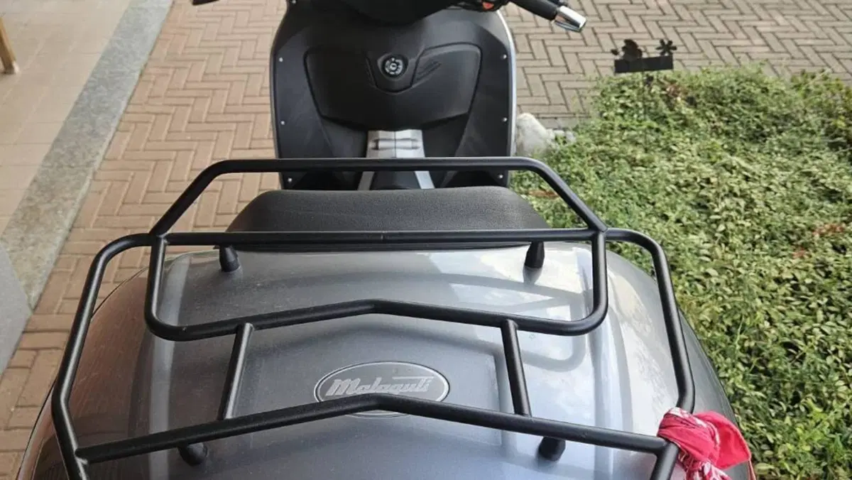 Malaguti SpiderMax 500 RS (2008 - 11)  (3)