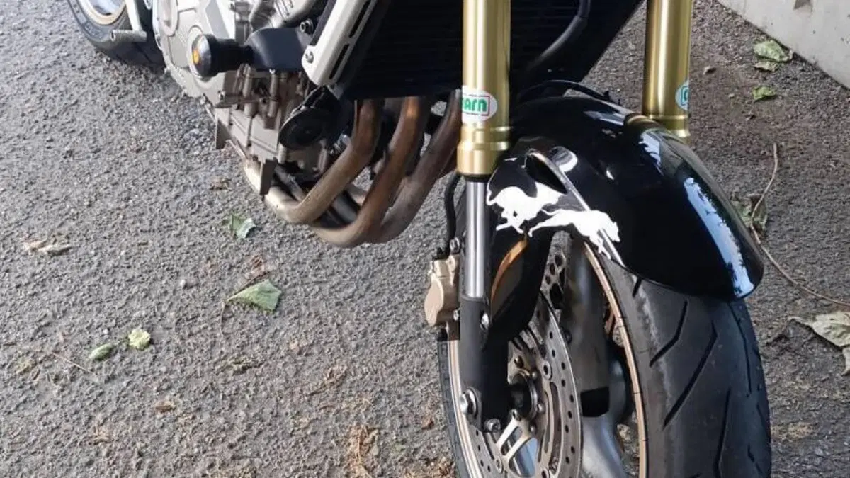 Honda Hornet 600 (2005 - 06)  (4)