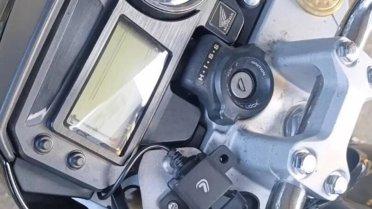 Honda Hornet 600 (2005 - 06)  (5)