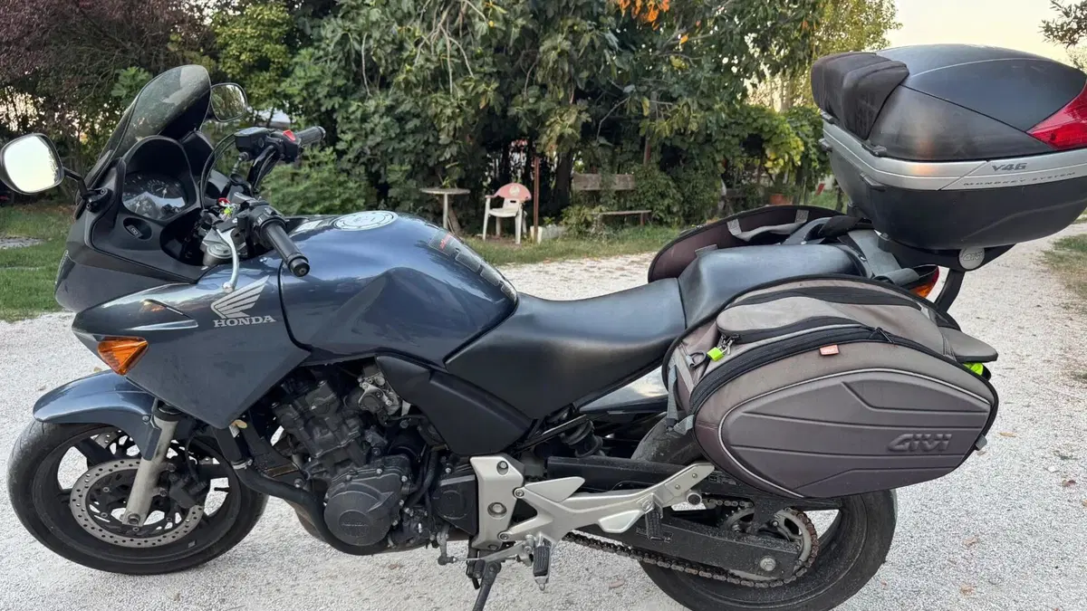 Honda CBF 600 (2004 - 06)  (2)