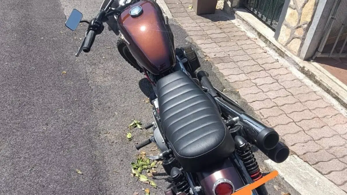 Harley-Davidson 883 Standard (2001 - 05) - XL 883  (2)