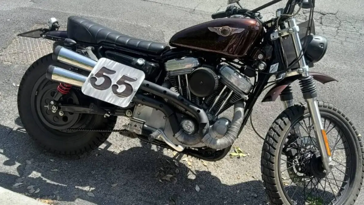 Harley-Davidson 883 Standard (2001 - 05) - XL 883  (3)