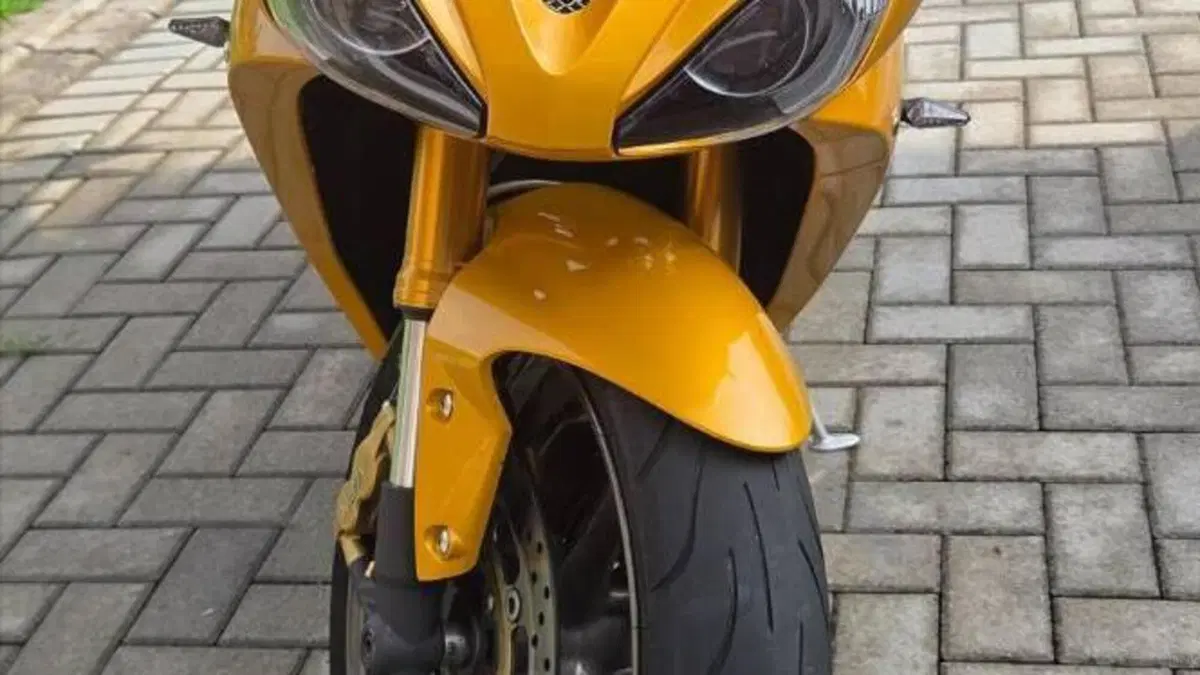 Triumph Daytona 675 (2006 - 08)  (2)