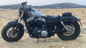 Harley-Davidson 1200 Forty-Eight (2010 - 15) usata