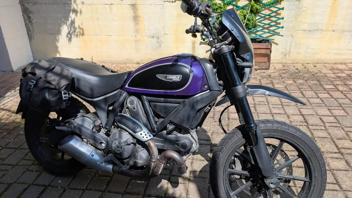 Ducati Scrambler 800 Icon (2015 - 16)  (2)