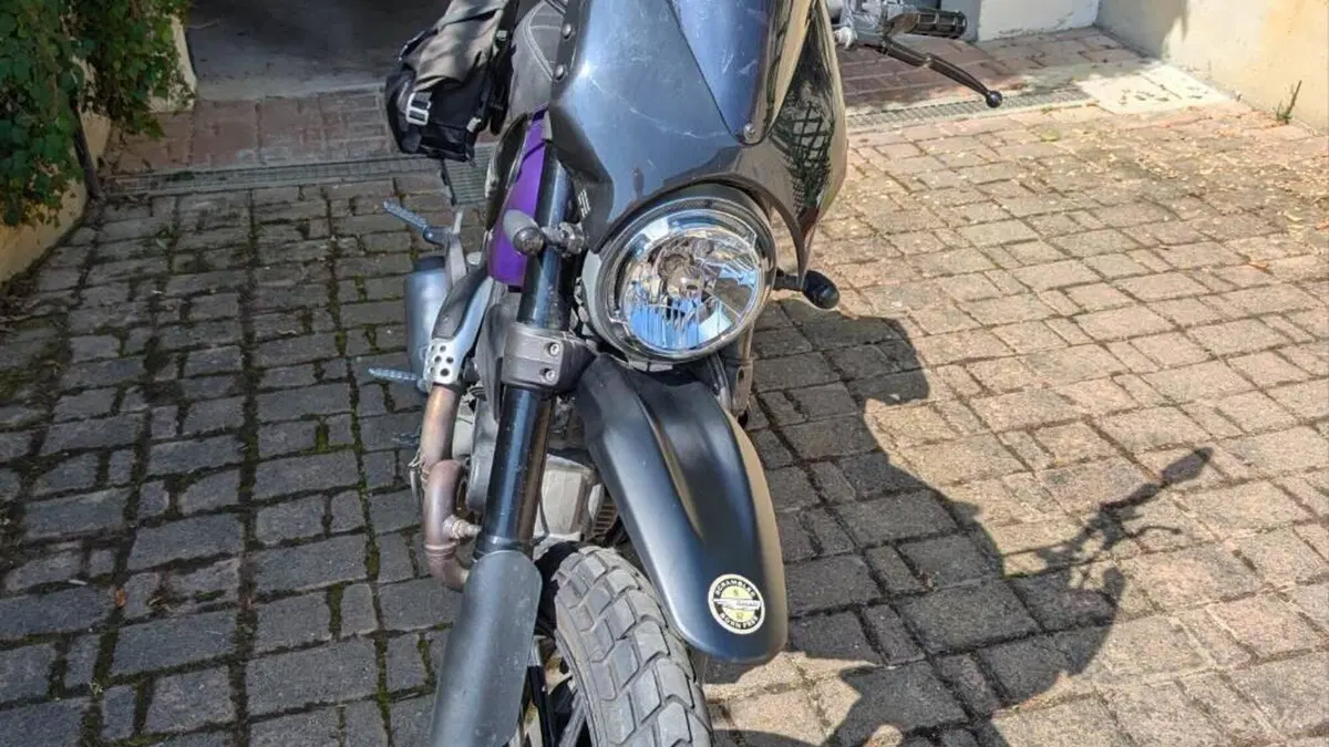 Ducati Scrambler 800 Icon (2015 - 16)  (3)