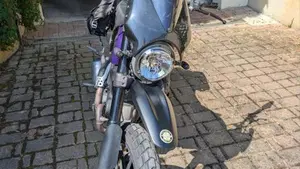 Ducati Scrambler 800 Icon (2015 - 16)  (3)