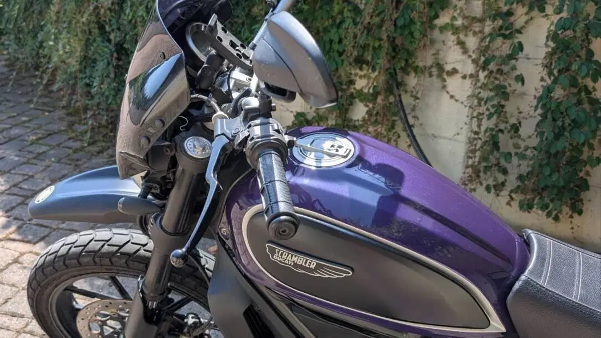 Ducati Scrambler 800 Icon (2015 - 16)  (5)