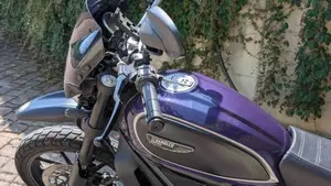 Ducati Scrambler 800 Icon (2015 - 16)  (5)