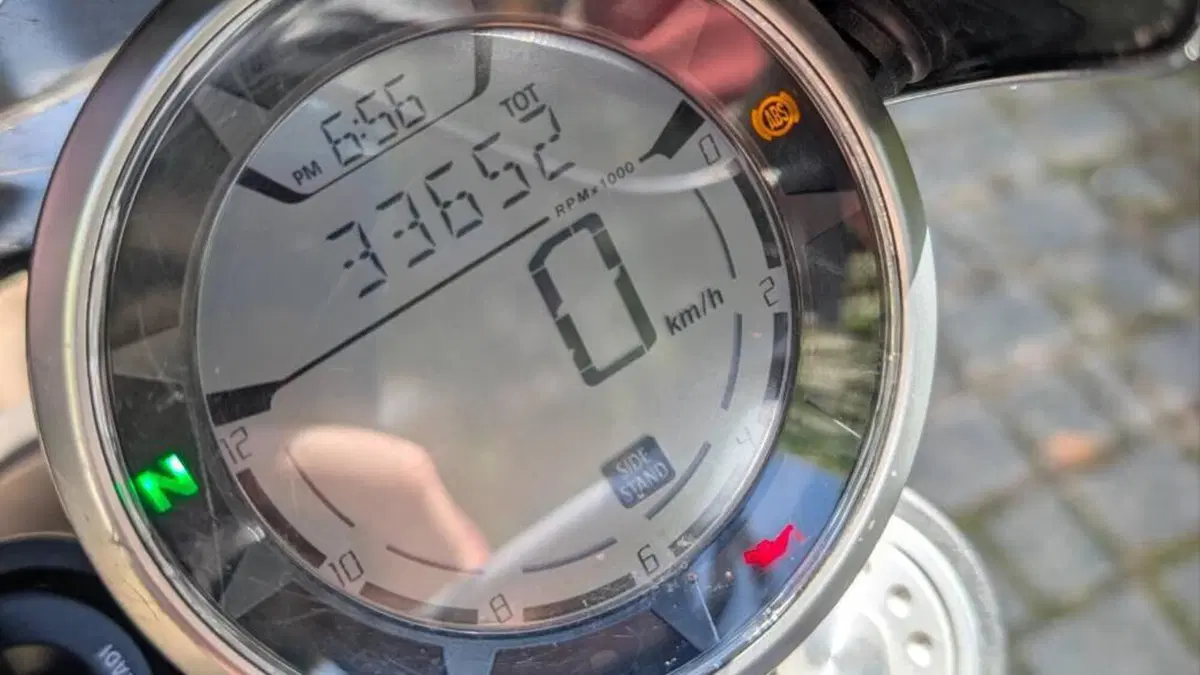 Ducati Scrambler 800 Icon (2015 - 16)  (7)