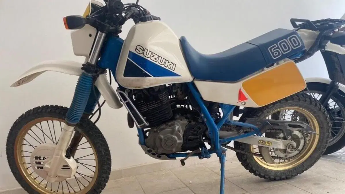 Suzuki   (2)