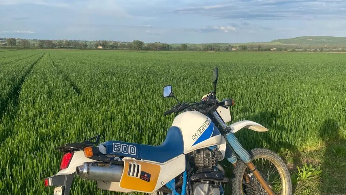 Suzuki   (3)