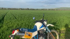 Suzuki   (3)