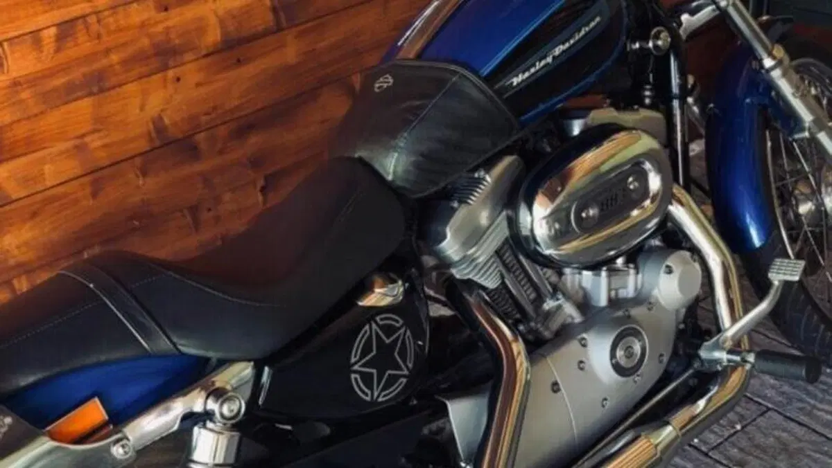 Harley-Davidson 883 Custom (2008 - 12) - XL 883C  (2)